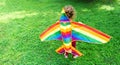 Little girl flies a rainbow kite. Child stands on the green grass with colored kite. Concept of innovation, ecology and outdoor