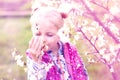 Little girl in a flowering garden sniffs a branch of a blossoming plum, Royalty Free Stock Photo