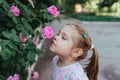 Little girl with flowers, portrait near a blooming rose bush, close-up, horizontal shot. summer time. Summer time Royalty Free Stock Photo