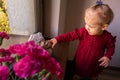 The little girl with flowers on the window Royalty Free Stock Photo