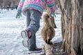 Little girl and fluffy cat walking on a snowy road, rear view Royalty Free Stock Photo