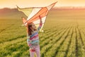 Little girl with flying kite Royalty Free Stock Photo