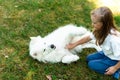 Little Girl in Forest Park Walking Playing with her Dog White Samoyed Royalty Free Stock Photo