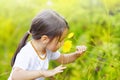 Little girl in the forest smells wonderful flowers and enjoy the Royalty Free Stock Photo