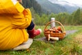 little girl with freshly picked Lactarius deliciosus mushrooms in wicker basket. Carpathian mountains in the background. Ukraine Royalty Free Stock Photo