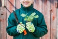 Little Girl Holding Plants Seedling Of Eggplants Outdoors Close-Up Royalty Free Stock Photo