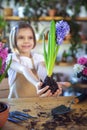 Little girl gardener plants hyacinth. Girl holding hyacinth in flower pot. Child taking care of plants. Royalty Free Stock Photo