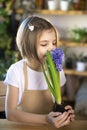 Little girl gardener plants hyacinth. Girl holding hyacinth in flower pot. Child taking care of plants. Royalty Free Stock Photo