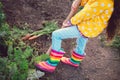 Little girl gardener in vegetables garden holding fresh biologic just harvested carrots Royalty Free Stock Photo