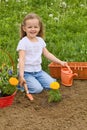 Little girl gardening Royalty Free Stock Photo