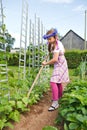 Little girl gardening Royalty Free Stock Photo