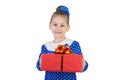 Little girl with a gift in their hands Royalty Free Stock Photo