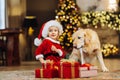 Little girl with a golden retriever dog near christmas tree and a gift boxes. Royalty Free Stock Photo