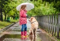 Little girl and dog walking under rain Royalty Free Stock Photo