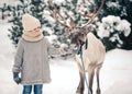 A little girl with a gray deer walks in the winter forest Royalty Free Stock Photo