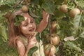 Little girl in a green dress clings to a tree branch full of apples with eyes closed Royalty Free Stock Photo