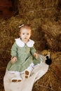 A little girl in a green dress sits in a rural barn on the hay with a duckling. Royalty Free Stock Photo