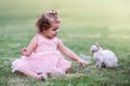 Little girl on the green grass playing with cat in park Royalty Free Stock Photo