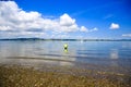 Little girl in green shirt walking in the water. Ruakaka beach, Royalty Free Stock Photo