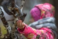 Little girl with hand feeding a squirrel in the Park. Love. Royalty Free Stock Photo