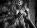 Little girl hand holding on chain link fence for freedom, Human