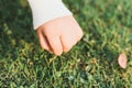 Little girl hand touching with green grass. Sensory body learning to grow. Greensward background. Empty space