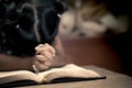 Little girl hands folded in prayer on a Holy Bible Royalty Free Stock Photo