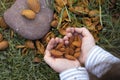 Little girl hands forming a heart shape holding peeled almonds in the nature. Empty copy space