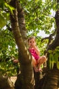 A little girl harvest ripe red cherry from high branches of a tree in the garden in sunny day