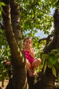 A little girl harvest ripe red cherry from high branches of a tree in the garden in sunny day