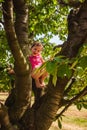 A little girl harvest ripe red cherry from high branches of a tree in the garden in sunny day