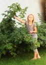 Little girl harvesting raspberries