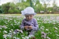 little girl in a hat sits in a flower field