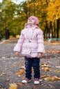 little girl have fun playing with fallen golden leaves Royalty Free Stock Photo