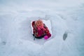 Little girl having fun in winter snow cave, kids winter fun Royalty Free Stock Photo