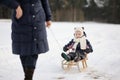 Little girl having sleight ride on winter day Royalty Free Stock Photo