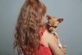 Little girl with her Chihuahua dog on grey background, back view. Childhood pet Royalty Free Stock Photo