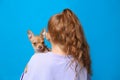 Little girl with her Chihuahua dog on light blue background, back view. Childhood pet Royalty Free Stock Photo