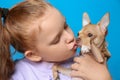Little girl with her Chihuahua dog on light blue background, closeup. Childhood pet Royalty Free Stock Photo