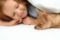 Little girl with her Chihuahua dog under blanket. Childhood pet Royalty Free Stock Photo