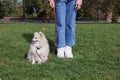 Little girl with her cute dog walking in park, closeup Royalty Free Stock Photo