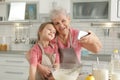 Little girl and her grandmother taking selfie Royalty Free Stock Photo