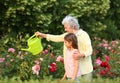 Little girl and her grandmother watering  in garden Royalty Free Stock Photo