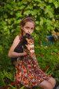 A little girl with her pet chihuahua dog Royalty Free Stock Photo