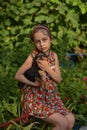 A little girl with her pet chihuahua dog Royalty Free Stock Photo