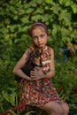 A little girl with her pet chihuahua dog Royalty Free Stock Photo