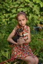 A little girl with her pet chihuahua dog Royalty Free Stock Photo