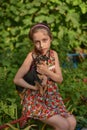 A little girl with her pet chihuahua dog Royalty Free Stock Photo