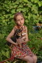 A little girl with her pet chihuahua dog Royalty Free Stock Photo