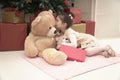 Little girl with her teddy bear friend on Christmas Eve Royalty Free Stock Photo